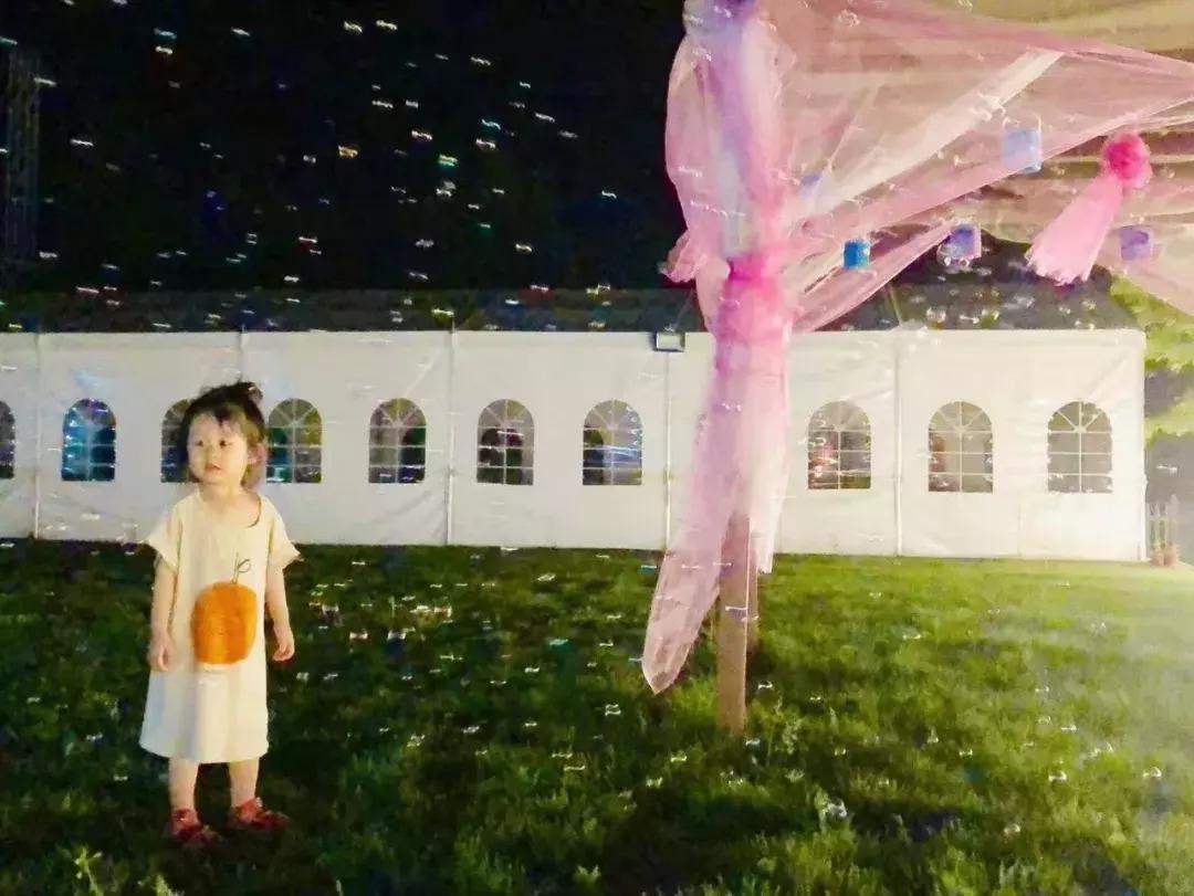 北京菊花花海,北京赏花好去处国际花港