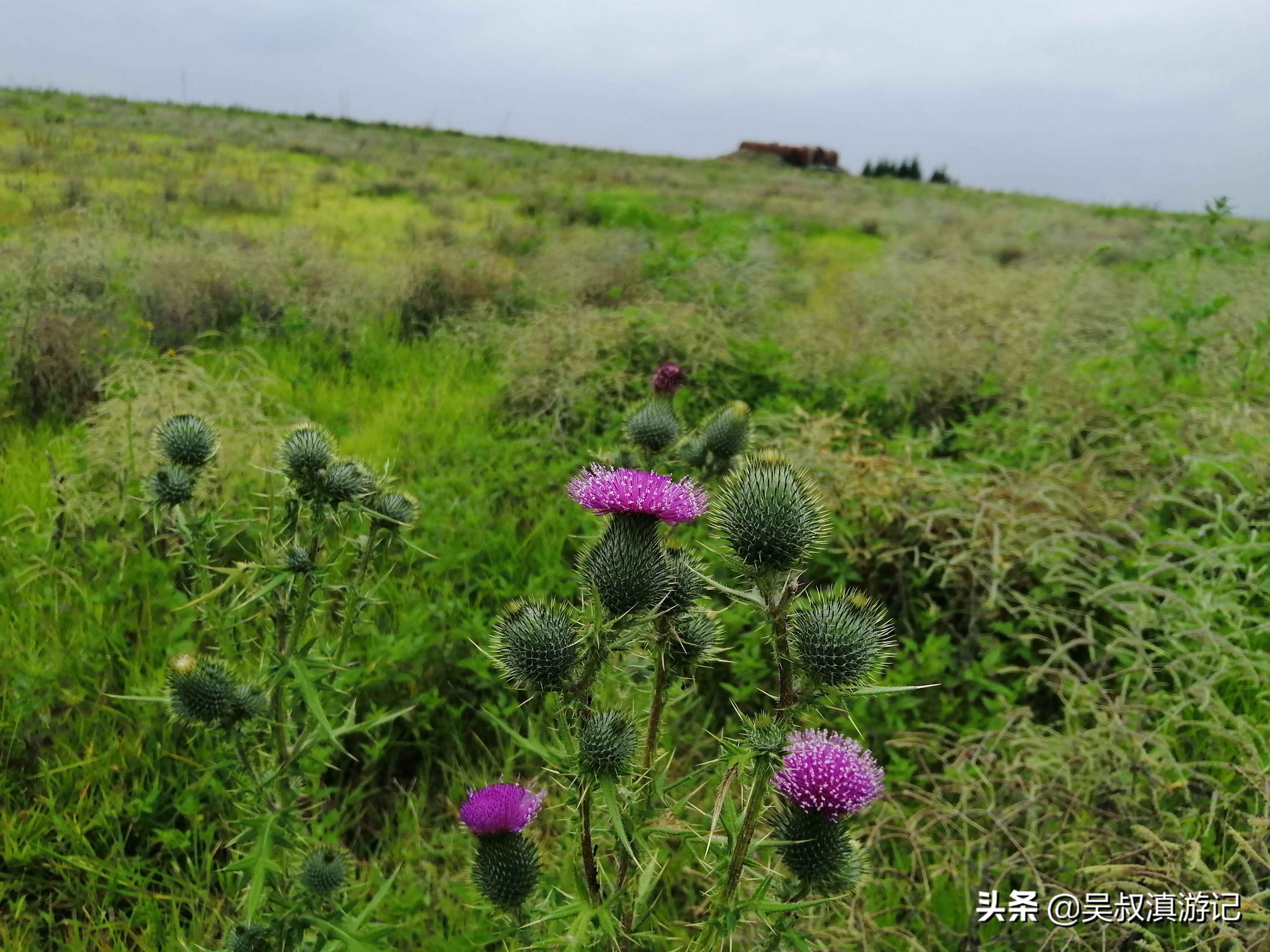 寻找奇石的亲身经历,寻找石盆寺视频