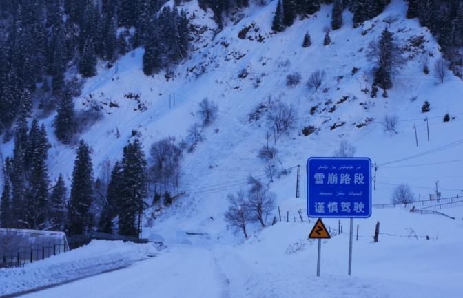 512防灾减灾的知识,512防震减灾日小知识