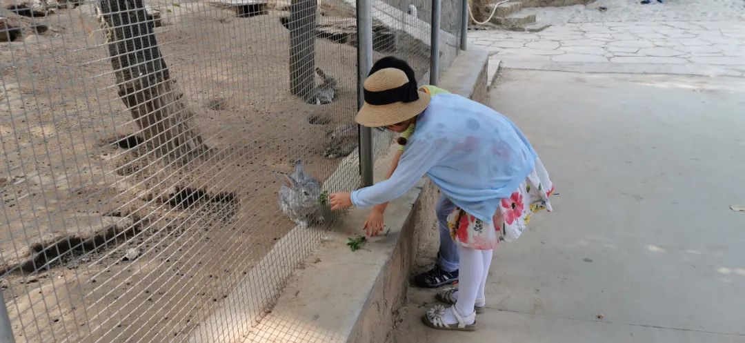 济南适合遛娃的免费去处,春节遛娃好去处济南