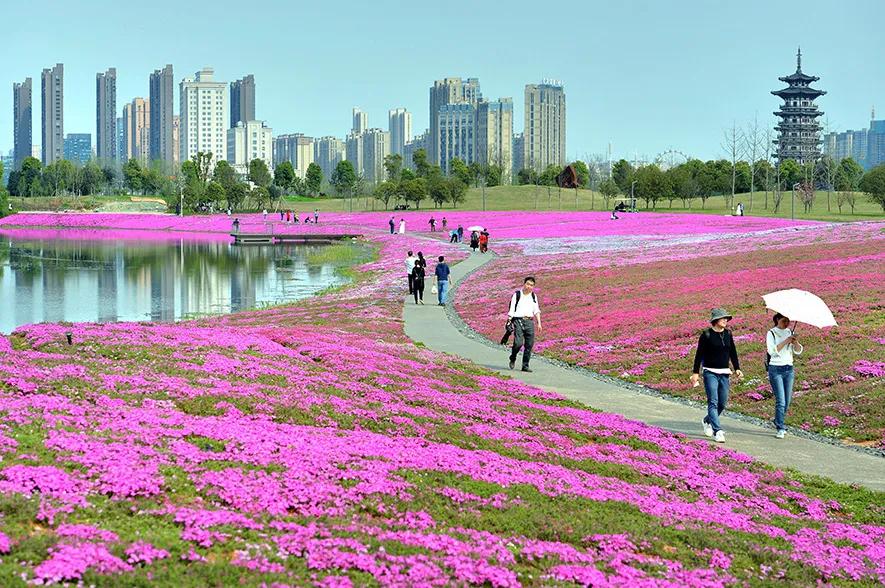 长沙遛娃亲子游攻略,长沙周末亲子游室内好去处