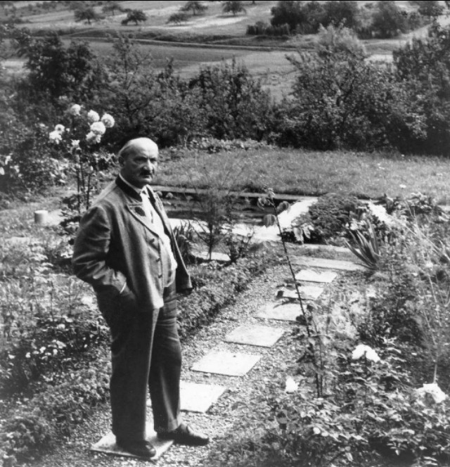 言语生病,言语患病