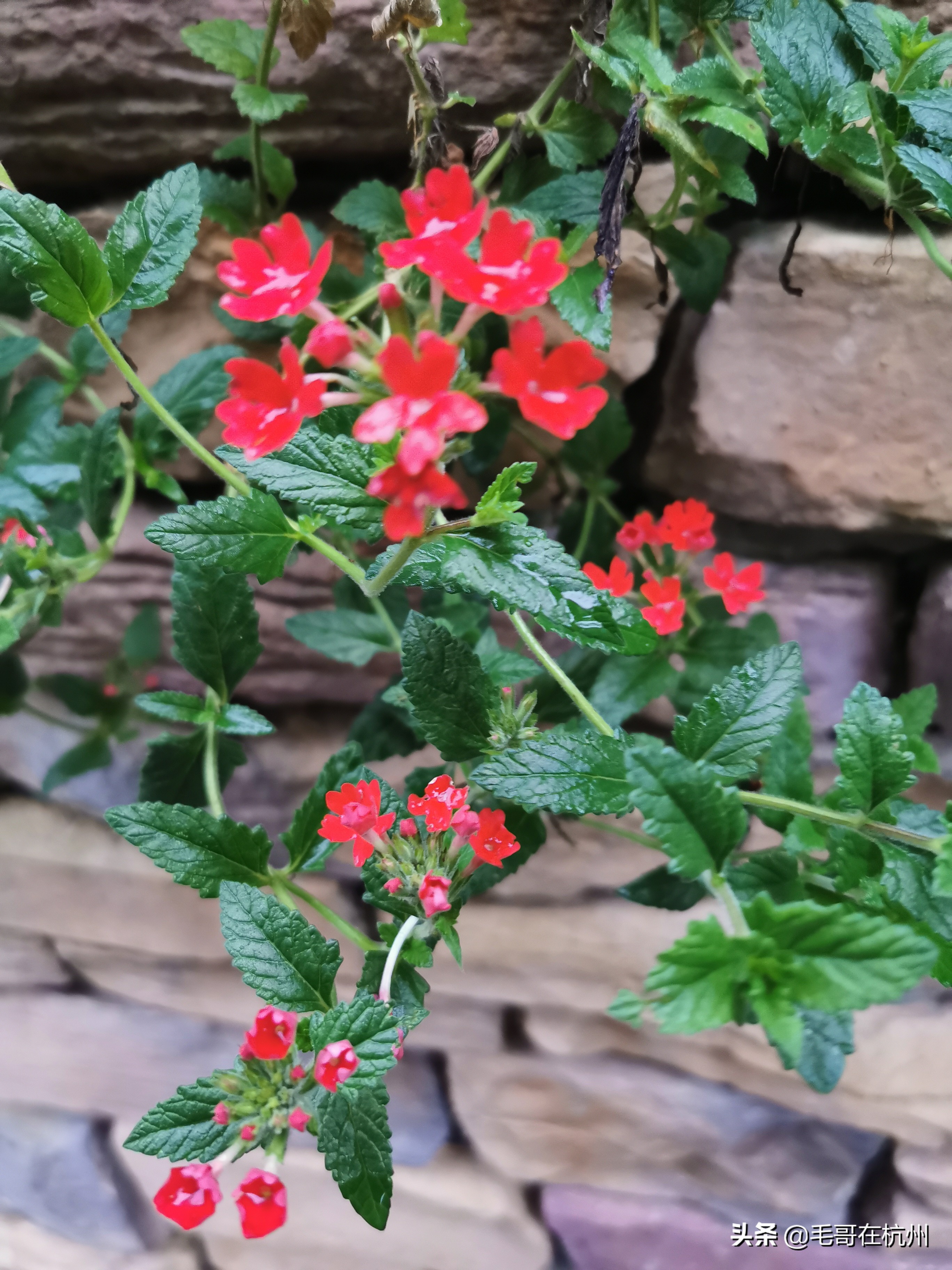 双11网购维权指南请您查收,双11购物防骗攻略