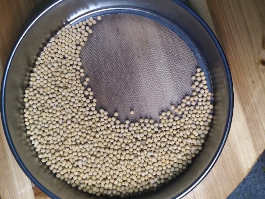 种植黄豆成本和利润,种一亩大豆成本明细