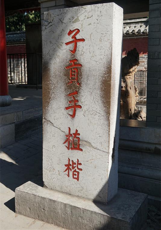 孔林是最大的氏族墓地吗,孔林最大墓葬群