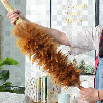 猫咪平替好物推荐,提高猫咪生活质量的几款好物