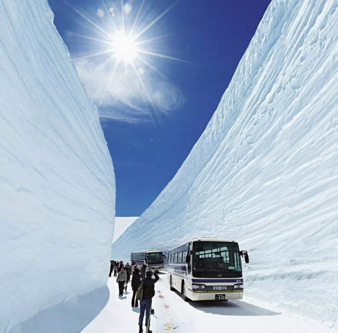 日本长野县旅行,日本长野赏樱旅游攻略