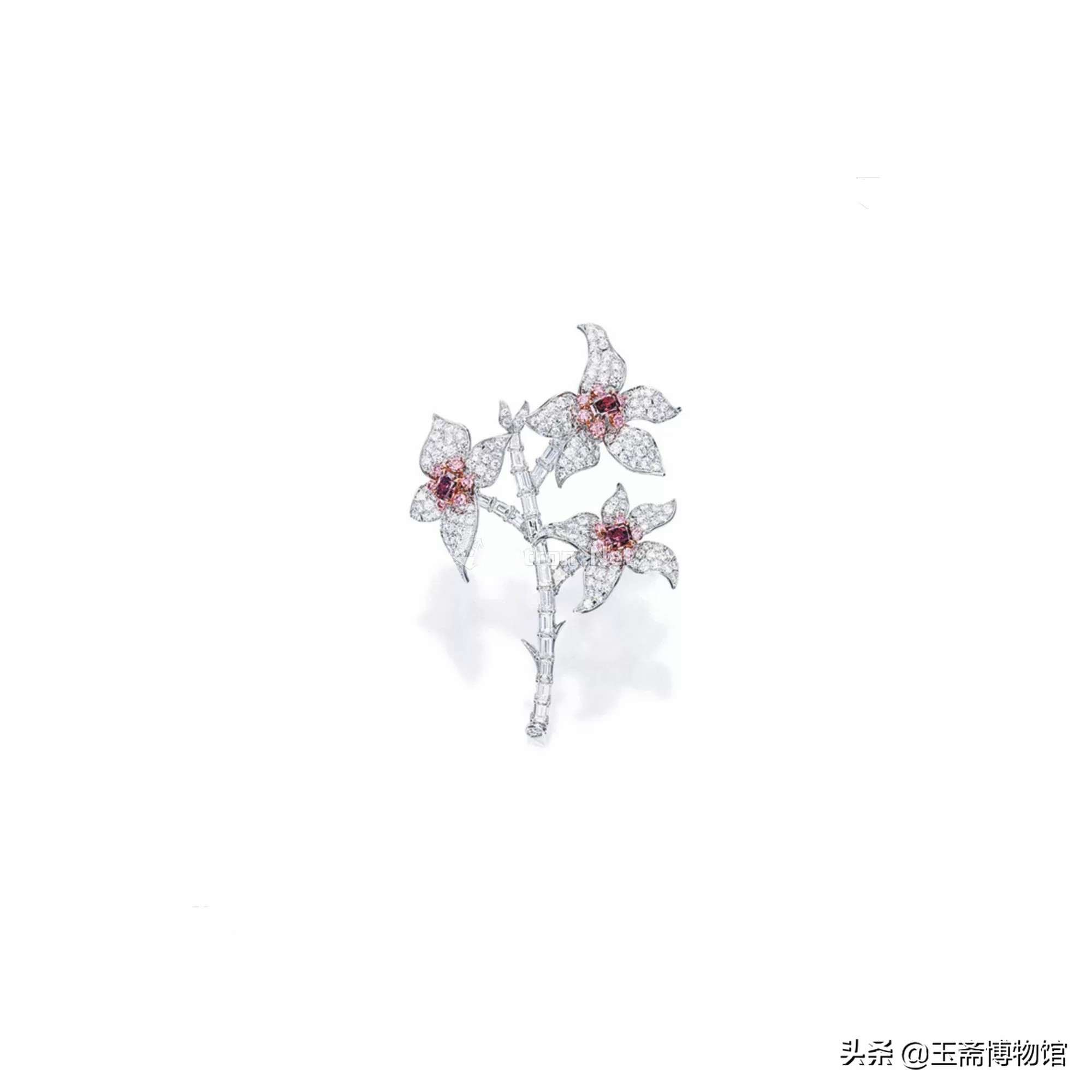 最美的小三针拍卖价,最美小三针拍卖价格