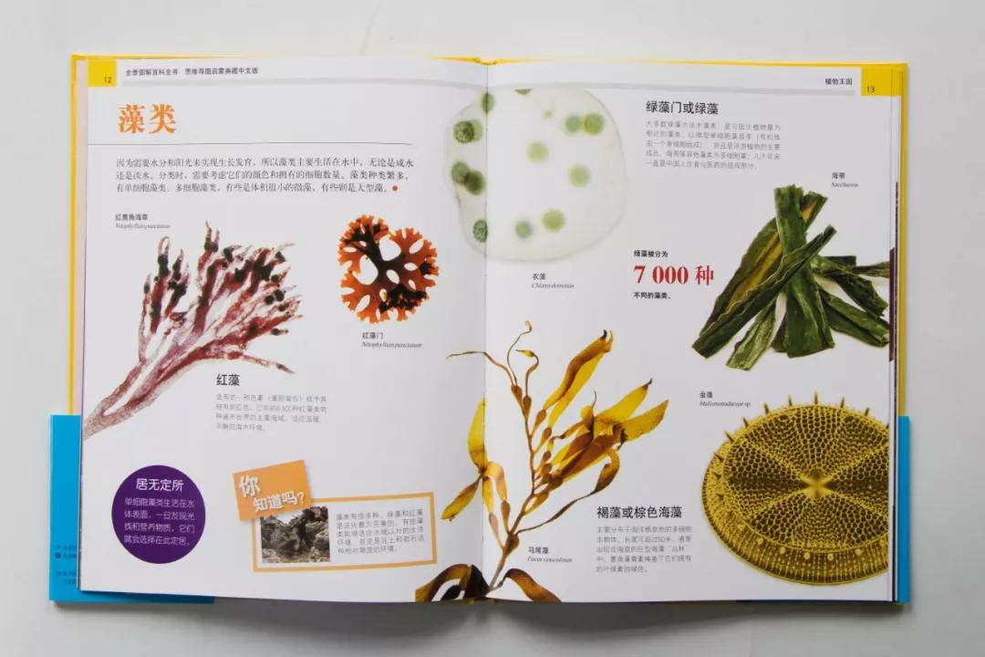 中国科学院院士讲解视频,中国科学院院士谈中国科学