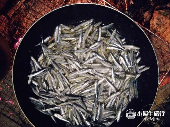 五一小长假海岛露营,小长假海岛露营