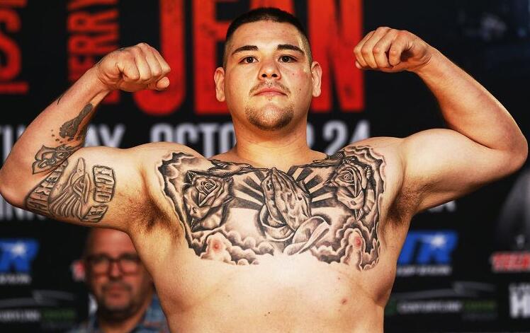 安迪鲁伊兹职业生涯战绩,安迪鲁伊兹现役