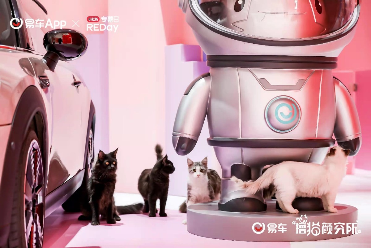 「e汽车」易车联合小红书打造“撸猫颜究所”粉萌空间潮燃京城