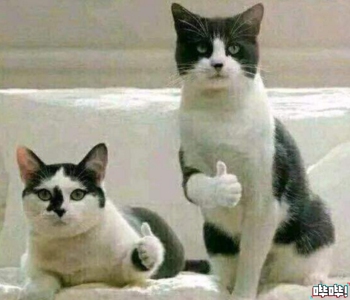 育碧做的最牛的游戏,育碧最招牌的游戏是什么