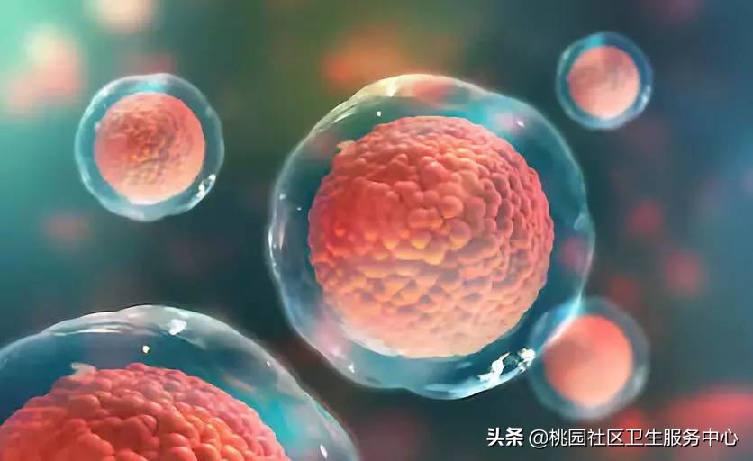 血常规化验单怎么看？掌握这3项就全懂了