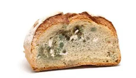 食物烂了一小块切掉还能吃吗,食物坏掉还可以吃吗