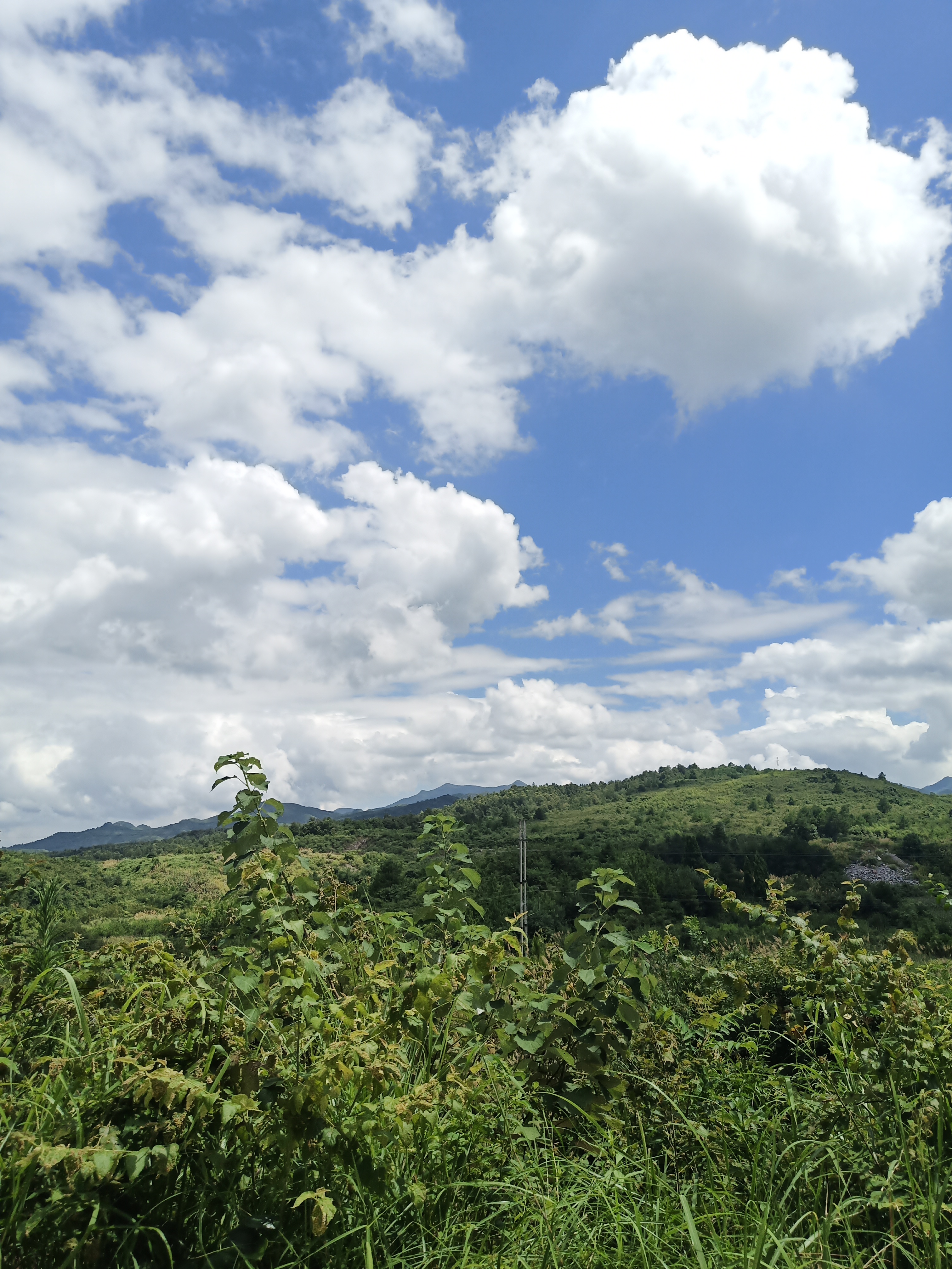 有啵农场——快来看看你没吃过的桂林特有蜜