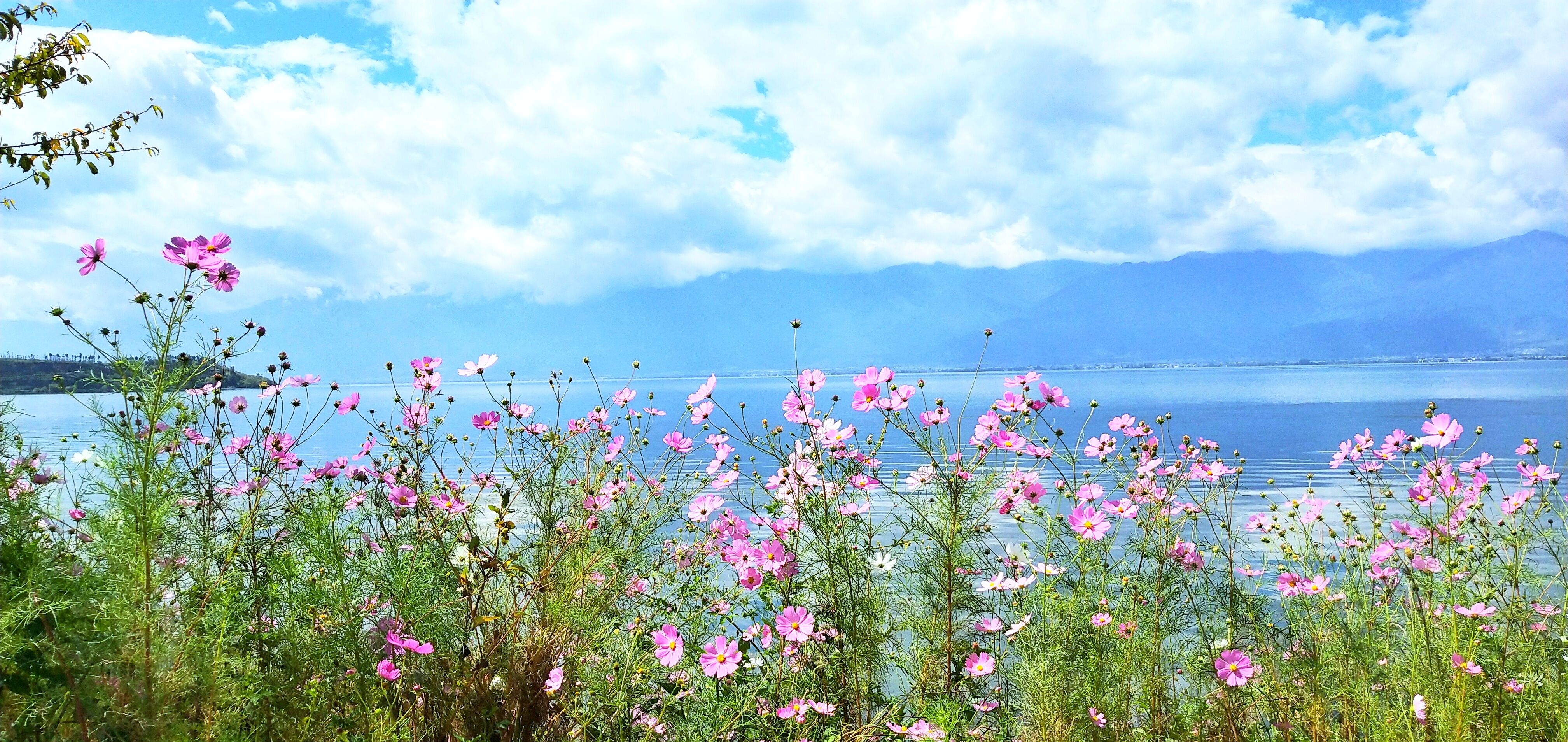 湛江去云南旅游怎么省钱,云南旅游自由行省钱攻略