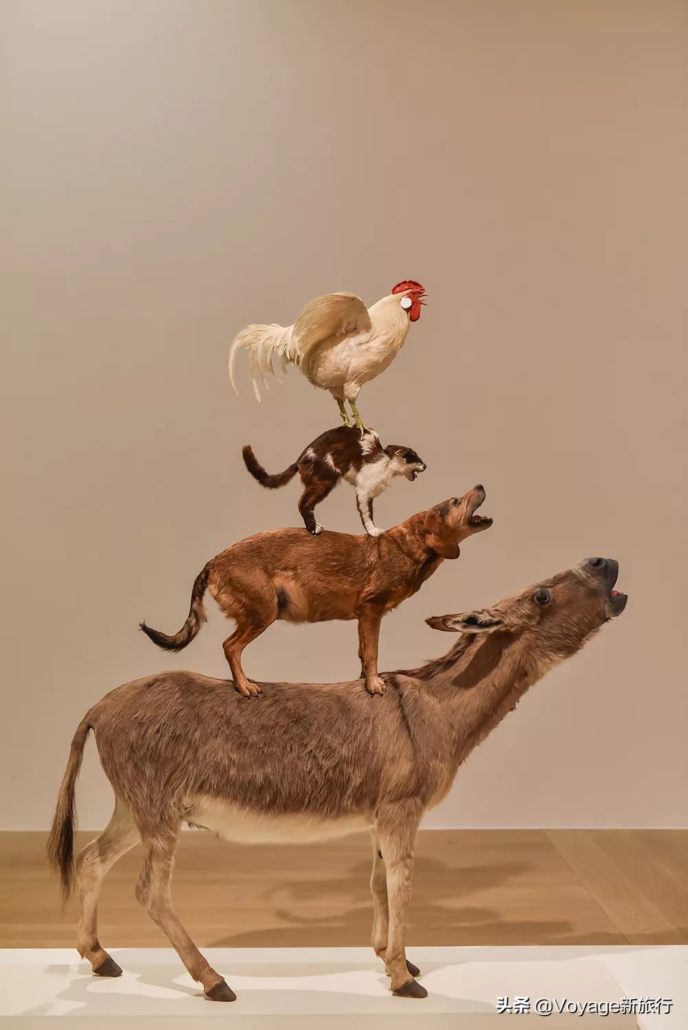 来德国北部汉萨三城,寻找不来梅的F4、汉堡最大的“船”和吕贝克的7个尖塔