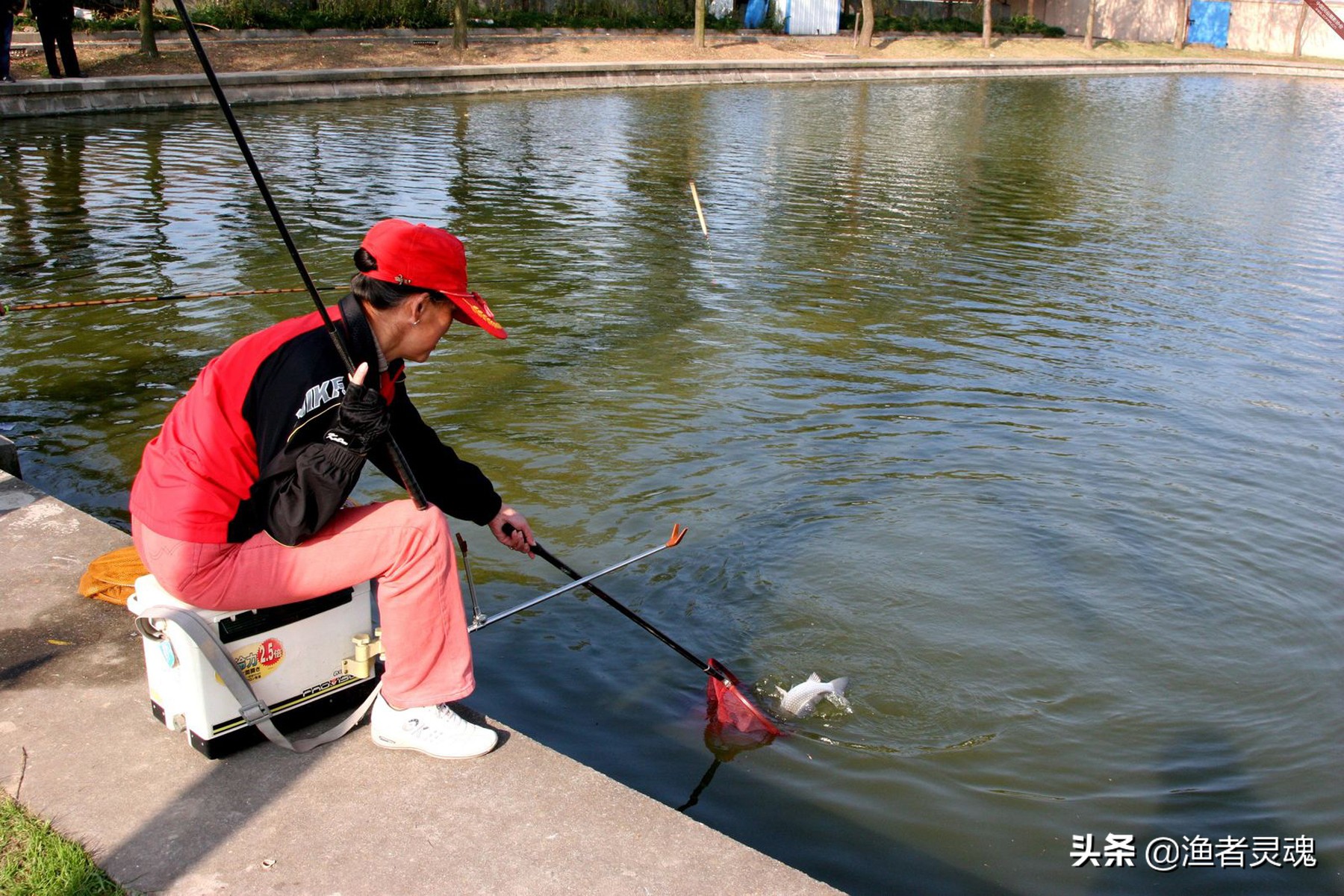 夜钓经验分享视频,夜钓野钓经验总结怎么写