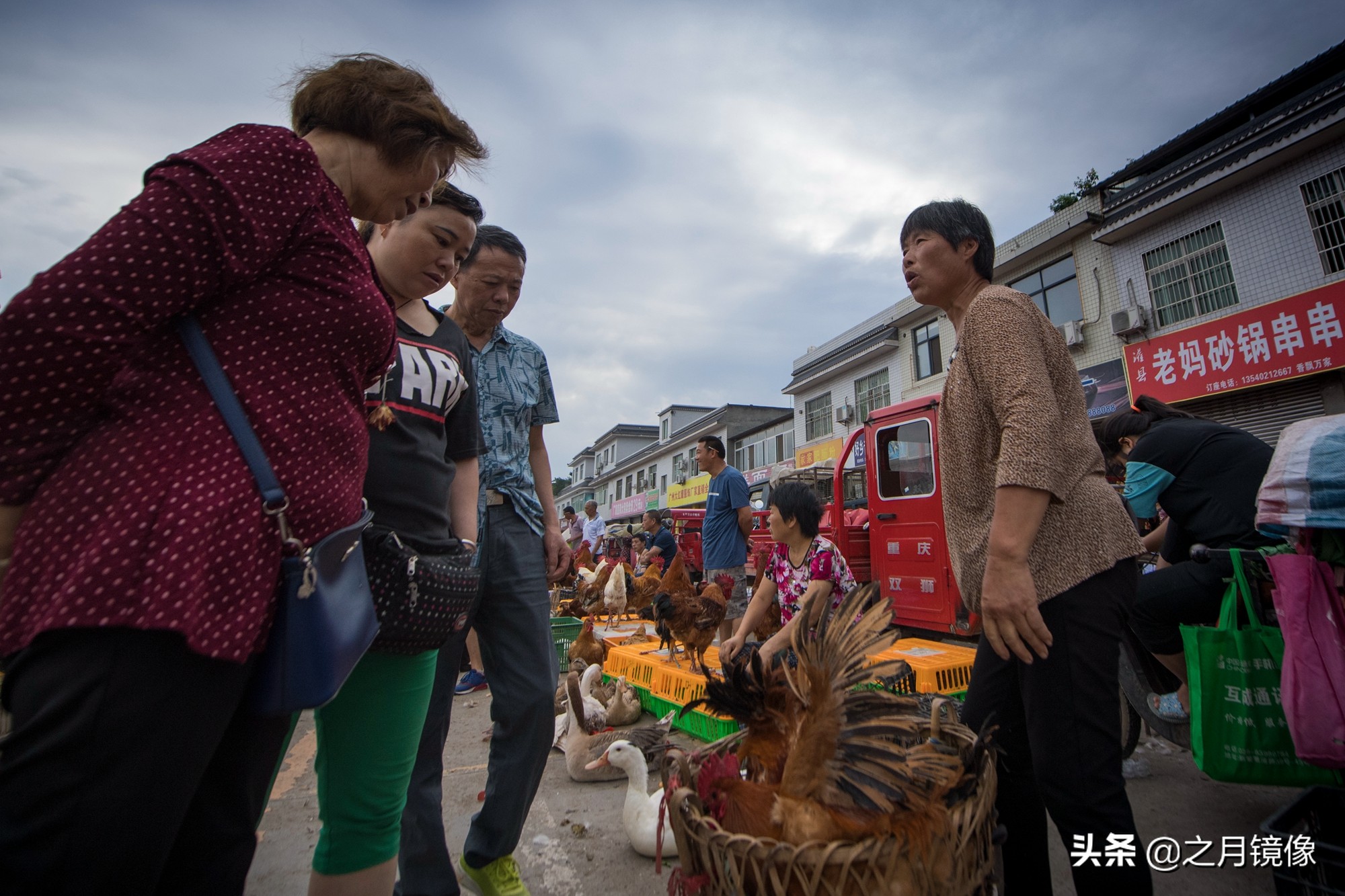 天府新区太平枇杷,成都太平枇杷批发市场
