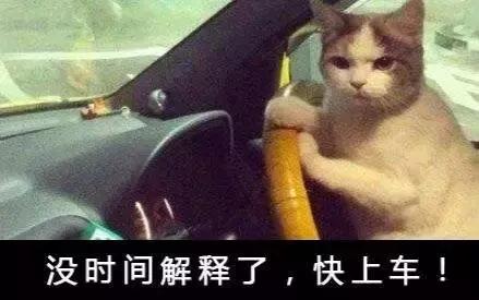 这车是上啊、上啊还是上啊;是下啊、下啊还是下啊