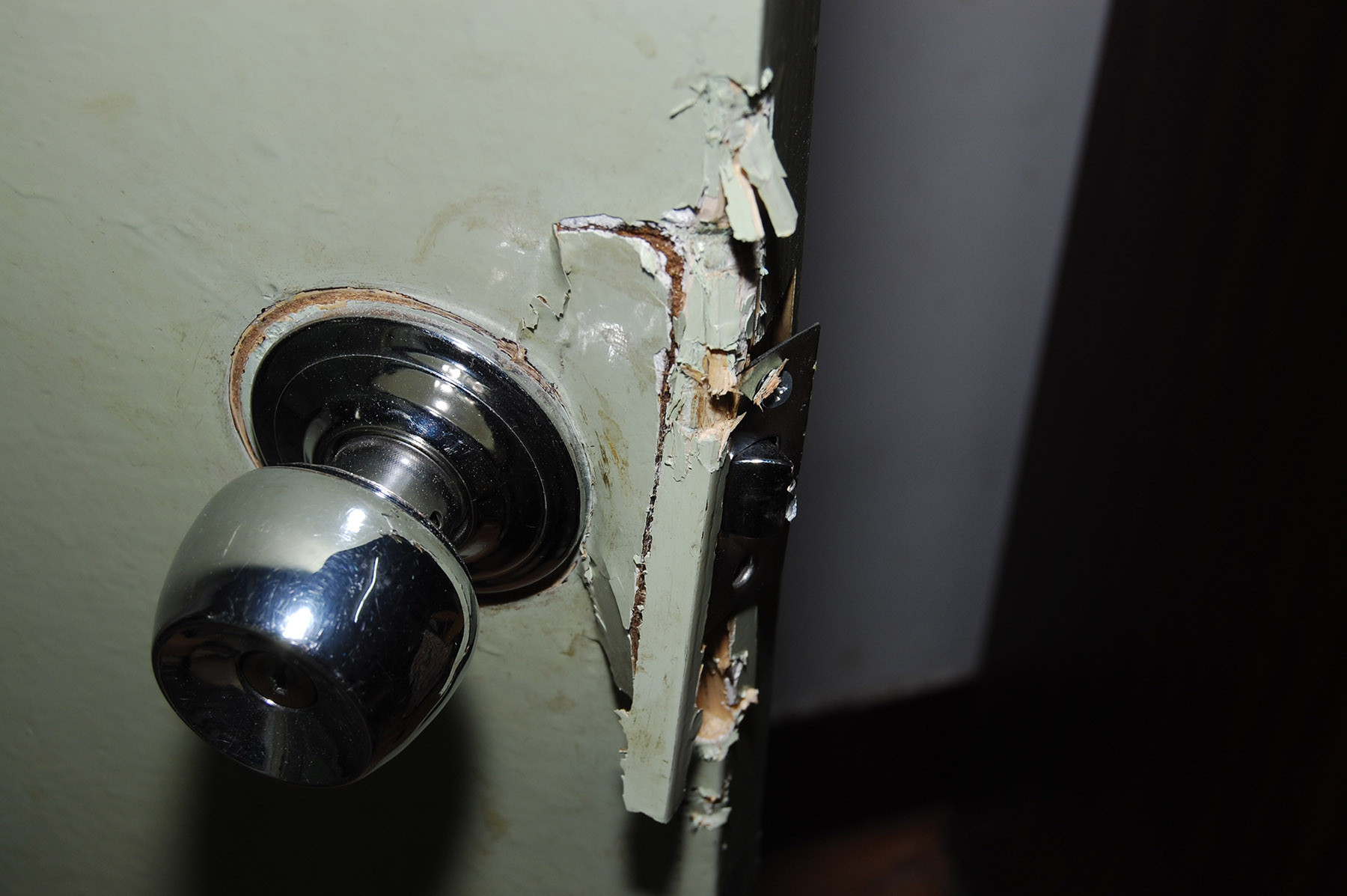 尼康d40x详细介绍,尼康d40x狗头机