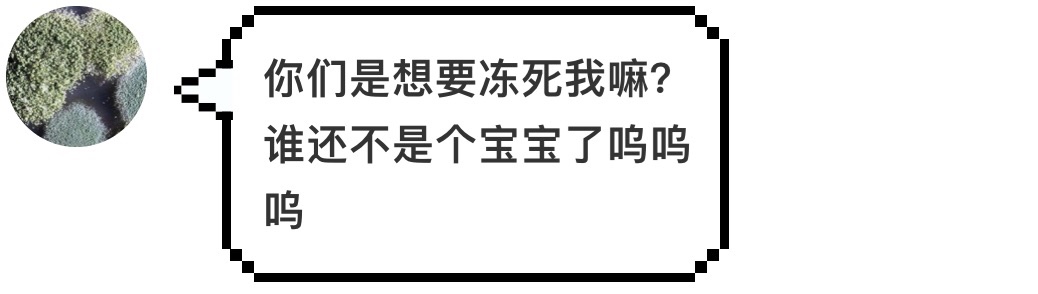 汉堡王又碰瓷麦当劳了,这次用的是发霉的汉堡