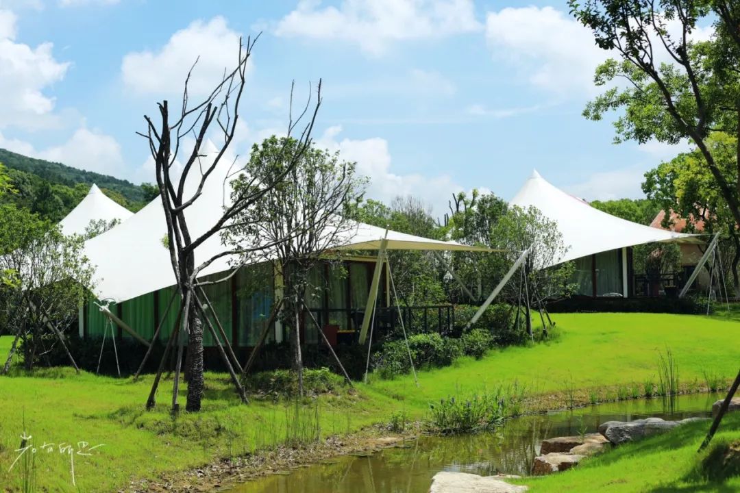 房车露营旅行推荐,自驾出游露营野炊房车营地