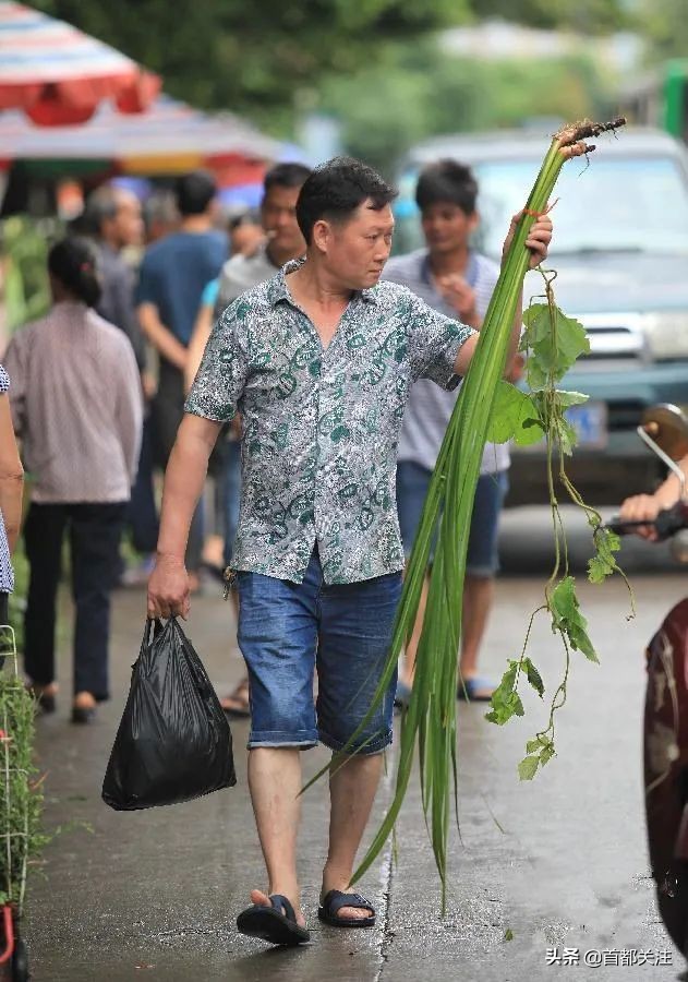 古人“防疫日”,又闻草木香,今日端午,愿您安康
