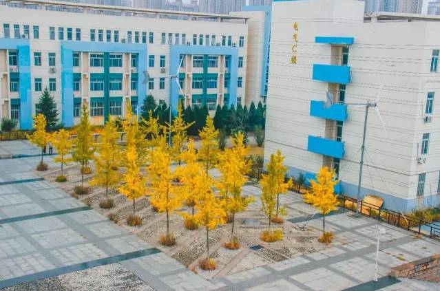 高校网红食堂盘点,河北一高校网红食堂