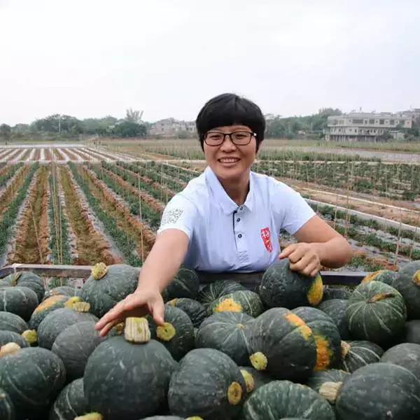 兴宁适合女性创业吗,回乡创业致富的女人