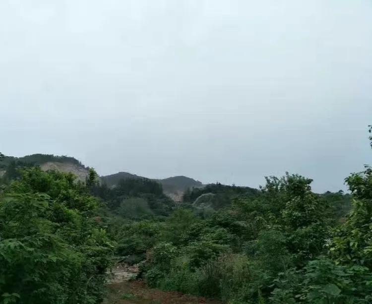 华容县景点排名,华容风景排名