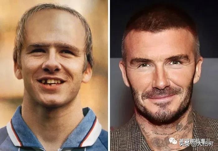 蓝鲸到底有多大,直观感受蓝鲸有多大