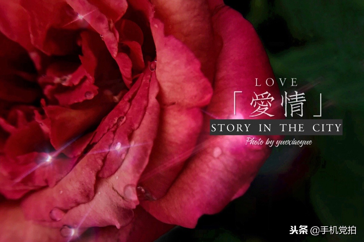 照片带水印怎么设置自己的名字,图片上怎么加名字水印