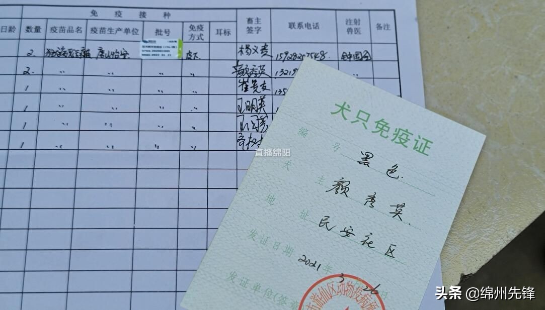 免费的狗疫苗,免费犬疫苗