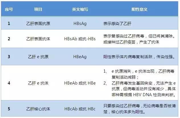 什么是“大三阳”“小三阳”？最全乙肝两对半解读