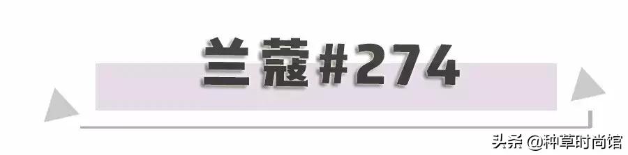 打死也要买的家庭好物,打死也要买的彩妆