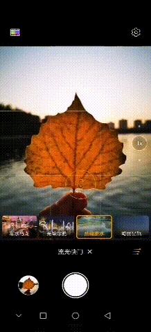 秋天如何拍摄好看的秋叶,秋天里的一片红叶