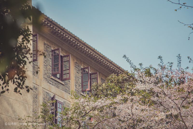 30条社会生活潜规则及道理,31条生活潜规则句句真理