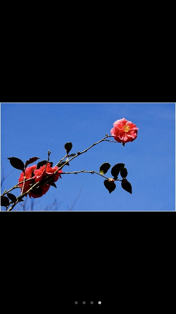 美丽的第二故乡宁波~北仑港