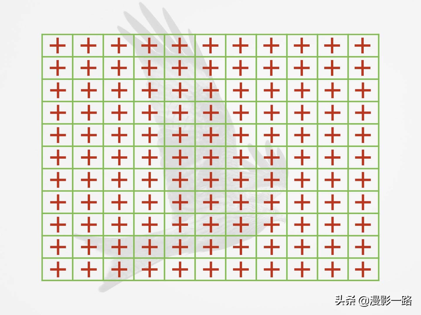 奥林巴斯em1x对焦有多强,奥林巴斯e-m1x暗光拍摄画质不好