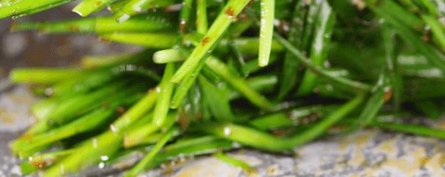 本味现拌烤肉,本味现拌烤肉隐藏菜单