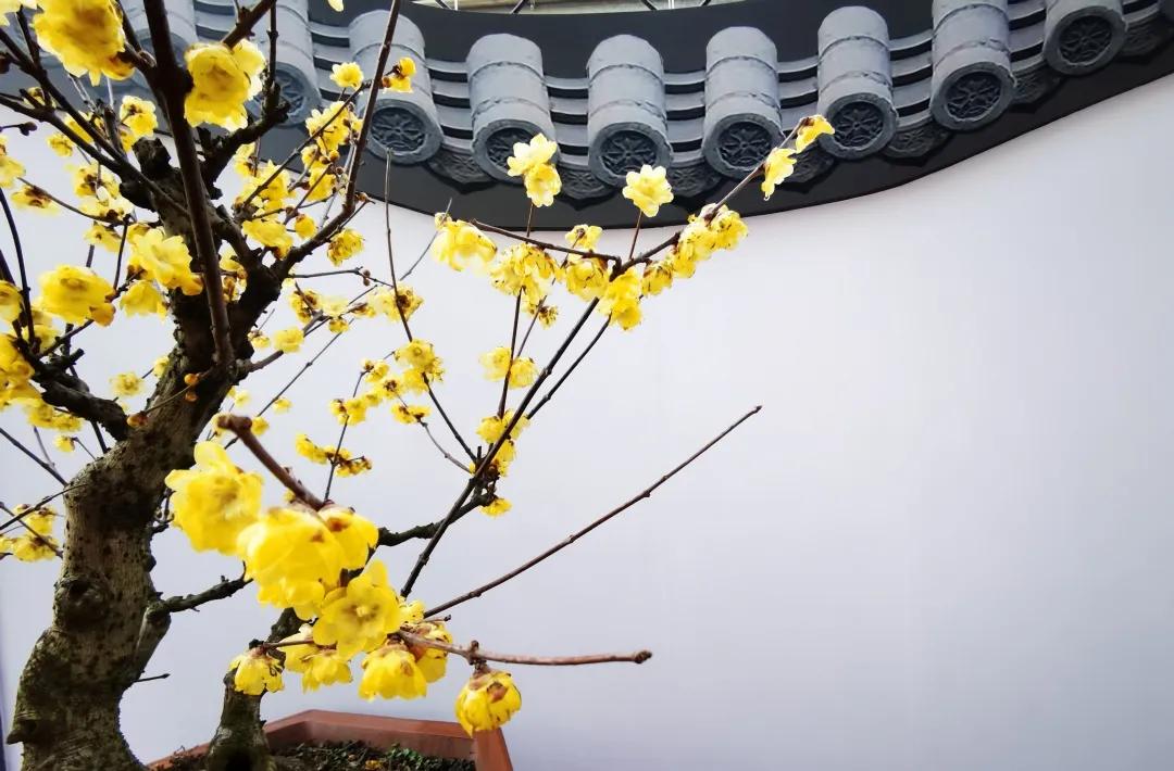 5种花香香水,哪种香水花最好最好闻