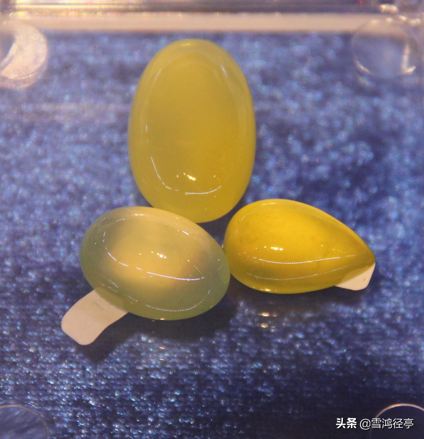 112首诗词中,这些词语您家孩子理解对了吗?(三)