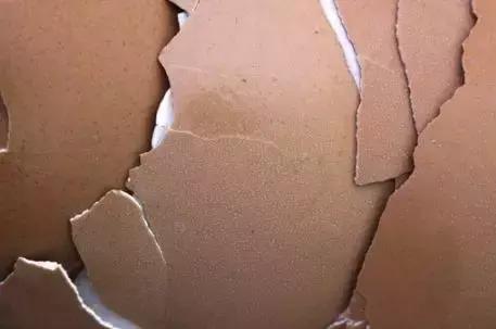 女性小心,美国强生爽身粉致癌风波再起!其去湿疹效果竟还不如蛋壳!?