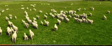 鍗疯¥鑴氶湶琚滆鏁欏,绉嬪啲鍗疯¥鑵块湶鑴氳笣