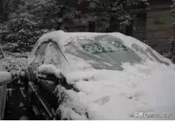 物业亲情化服务方案,物业人文关怀服务