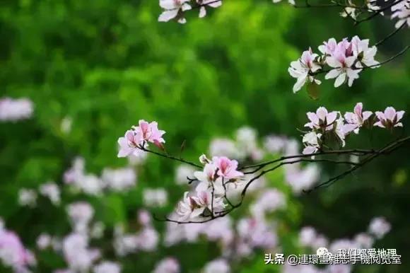 关于地理的名言诗词谚语,地理诗句谚语大全