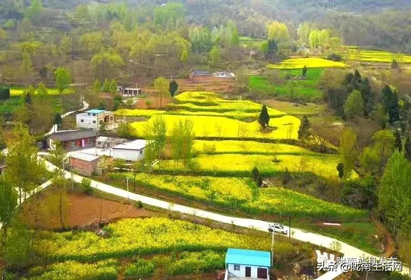 我叫成县，这是我2019年的自拍照