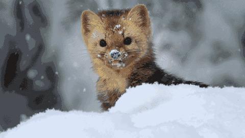 一元瓶装水的江湖,1元瓶装水退出江湖